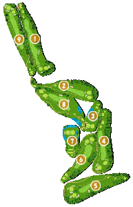 コース全体俯瞰図