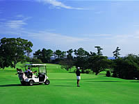 川奈ホテルゴルフコース　大島コース （メルマガ会員用）の写真