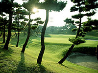 鎌倉カントリークラブの写真