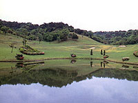 大熱海国際ゴルフクラブの写真
