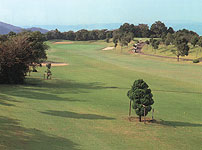 総丘カントリー倶楽部の写真