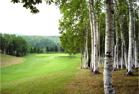 羊ヶ丘カントリークラブの写真