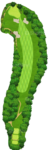 No.