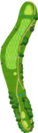 No.