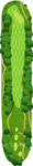 No.