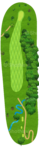 No.