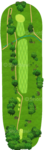 No.
