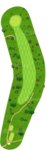 No.