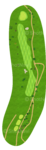 No.