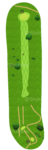 No.