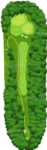No.