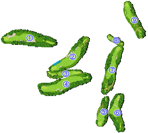 Bandon Dunes Resort Bandon Trails Course Inのコース情報 - Shot Naviゴルフ場ガイド