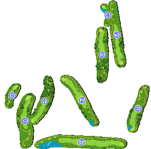 コース全体俯瞰図