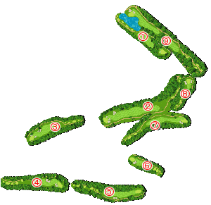 コース全体俯瞰図