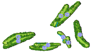コース全体俯瞰図