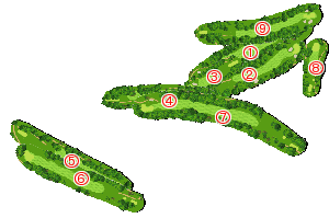 コース全体俯瞰図