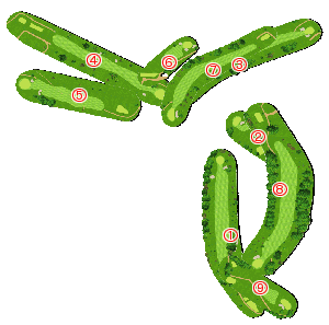 コース全体俯瞰図