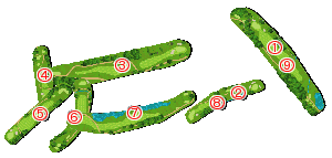 コース全体俯瞰図