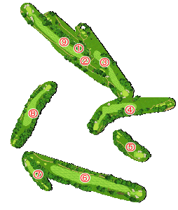 コース全体俯瞰図