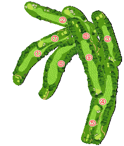 コース全体俯瞰図