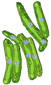 コース全体俯瞰図