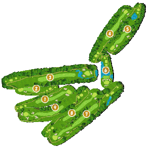 コース全体俯瞰図