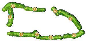 コース全体俯瞰図