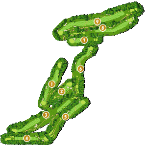 コース全体俯瞰図