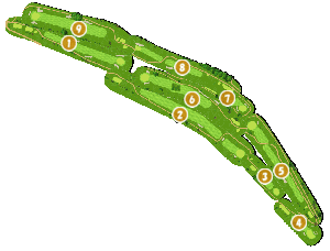 コース全体俯瞰図