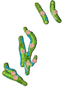 コース全体俯瞰図
