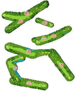 コース全体俯瞰図