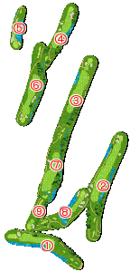 コース全体俯瞰図