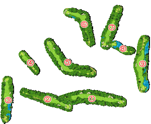 コース全体俯瞰図