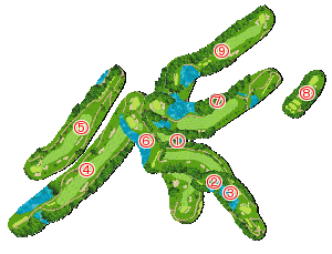 コース全体俯瞰図