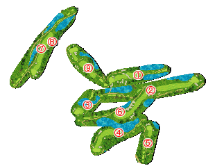 コース全体俯瞰図