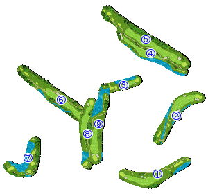 コース全体俯瞰図