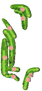 コース全体俯瞰図