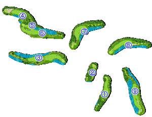 コース全体俯瞰図