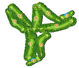 コース全体俯瞰図