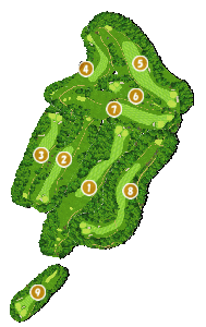 コース全体俯瞰図