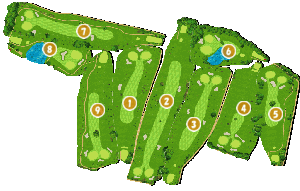 コース全体俯瞰図