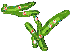 コース全体俯瞰図