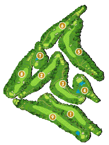 コース全体俯瞰図