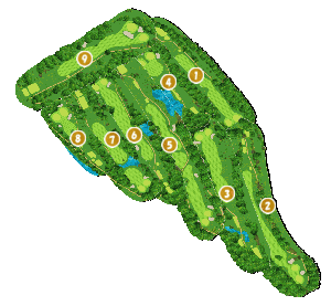 コース全体俯瞰図