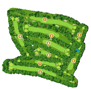 コース全体俯瞰図