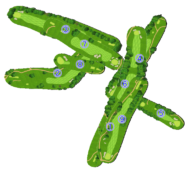 コース全体俯瞰図