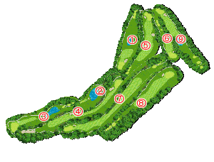 コース全体俯瞰図