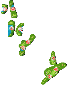 コース全体俯瞰図