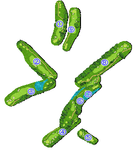 コース全体俯瞰図