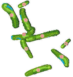 コース全体俯瞰図